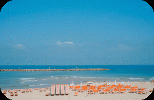 Things To Do In Tel Aviv Best Recommendations