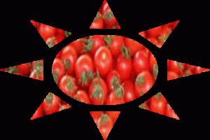  Italian tomatoes Slavery or lucky
